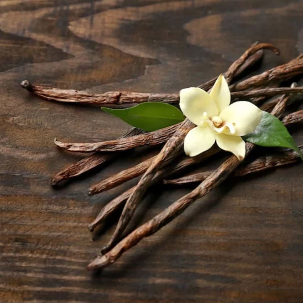 ⁦MAHOGANY VANILLA⁩ - الصورة ⁦1⁩