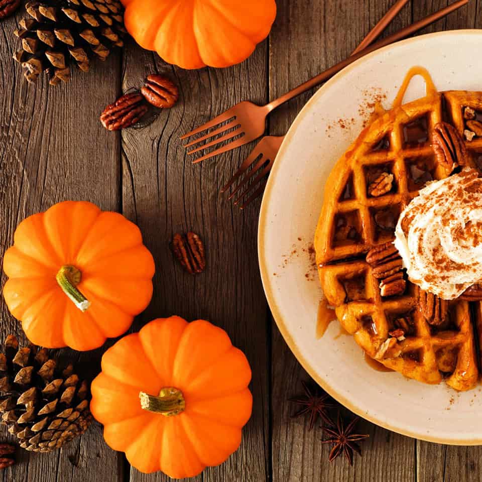 PUMPKIN PECAN WAFFLES PUMPKIN PECAN WAFFLES - الصورة 1