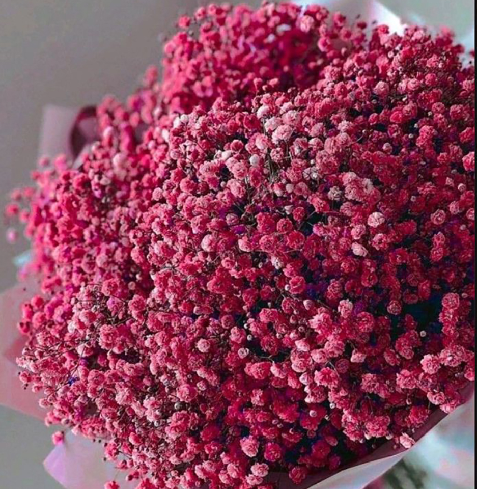 WhatsApp Image 2024-10-19 at 6.40.26 PM بنش بيبي فلاور احمر - الصورة 1