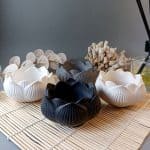 ⁦بوت ورده⁩ - الصورة ⁦12⁩