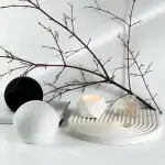 ⁦رينبو وسط⁩ - الصورة ⁦4⁩