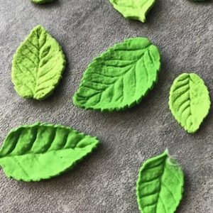 قالب ورق شجر