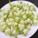 WHITE JASMINE
