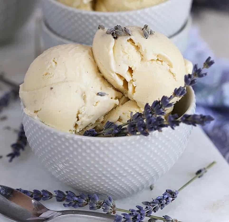 ⁦LAVENDER VANILLA B&B⁩ - الصورة ⁦1⁩