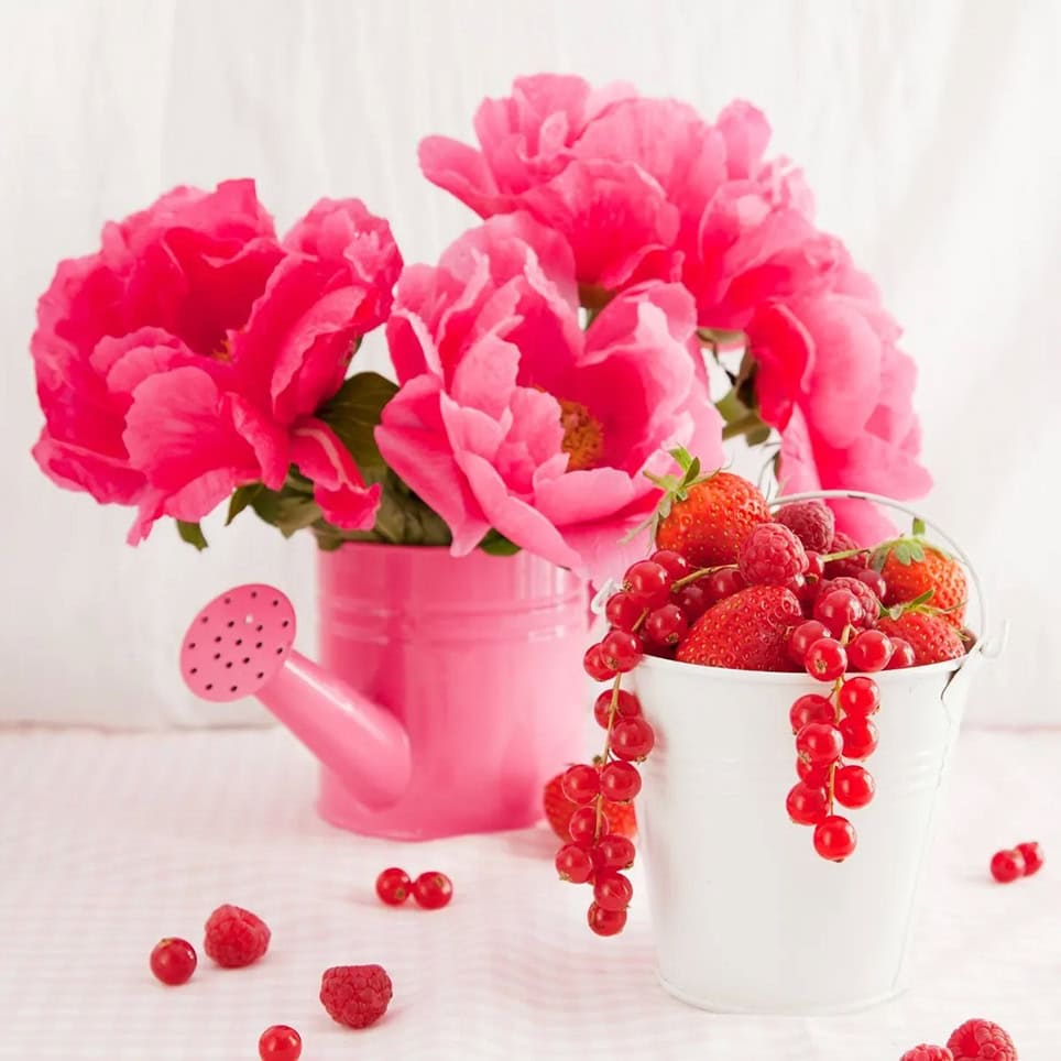 sweet-berry-peony.jpg SWEET BERRY PEONY - الصورة 1