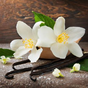 ياسمين فانيلا