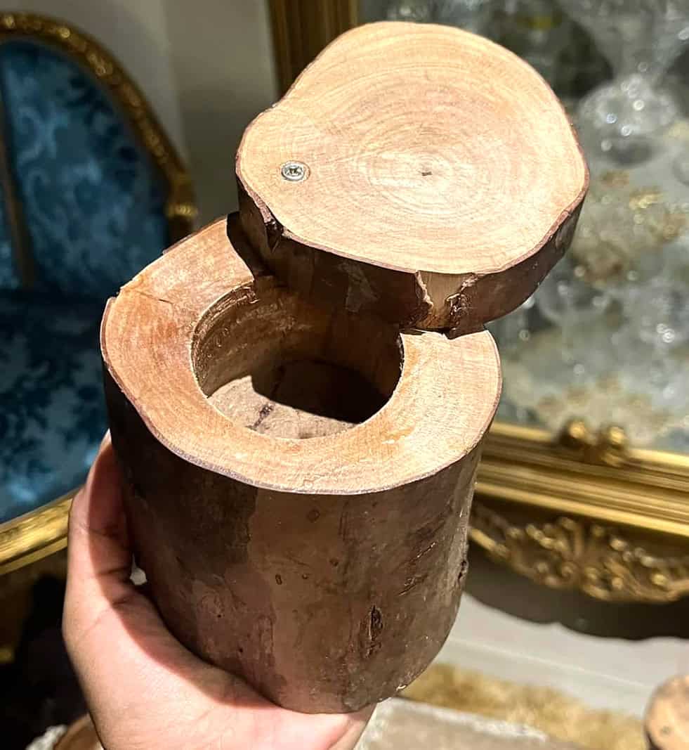 ⁦جذع شجره بغطا⁩ - الصورة ⁦2⁩