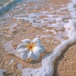 ISLAND PETALS