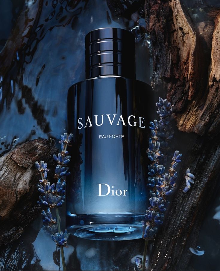 ⁦Sauvage⁩ - الصورة ⁦1⁩