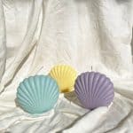 ⁦صدفه مقفوله مقاس صغير⁩ - الصورة ⁦4⁩