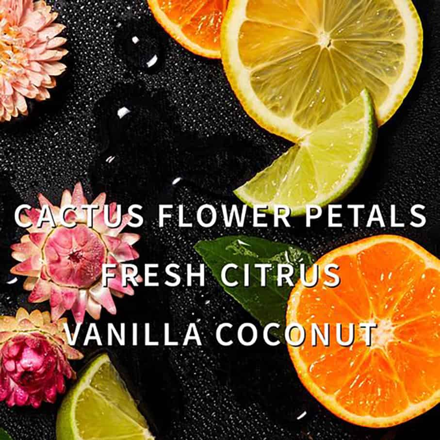 87fbd96e5f8f3a30235bf286a5497855