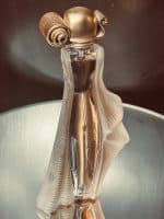 ⁦ORGANZA INDECENCE⁩ - الصورة ⁦3⁩