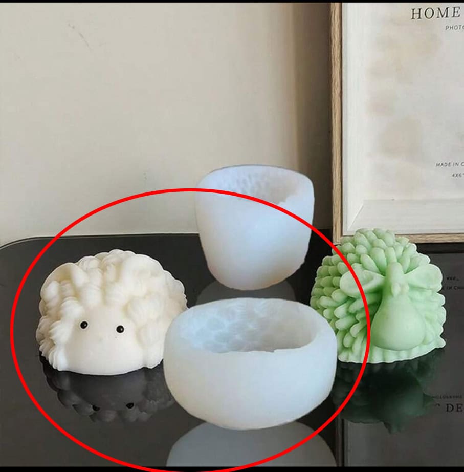 ⁦خروف بقرون كيوت⁩ - الصورة ⁦1⁩