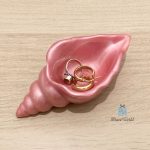 قالب قوقعه مفتوحه رفيعه