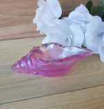 ⁦قالب قوقعه مفتوحه رفيعه⁩ - الصورة ⁦5⁩