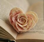 ⁦ورده قلب⁩ - الصورة ⁦4⁩