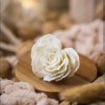 ⁦ورده قلب⁩ - الصورة ⁦6⁩