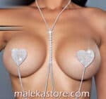 0270 silver Accessory body