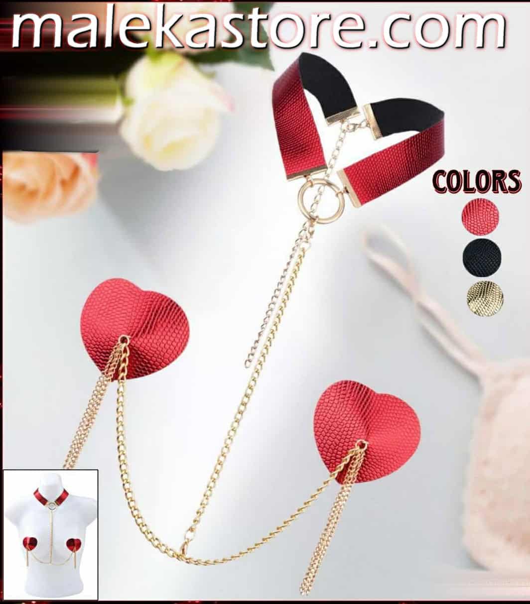 ⁦1100 red Accessory body⁩ - الصورة ⁦1⁩