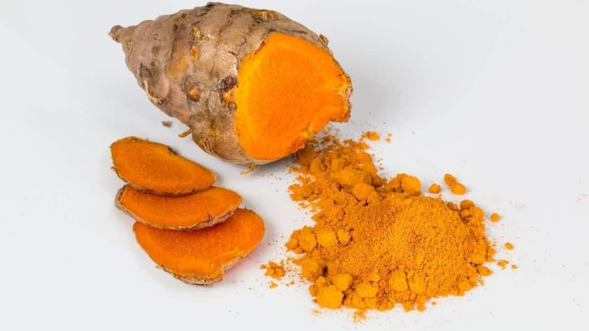 Turmeric can Help in Osteoarthritis Knee joint PainStudy