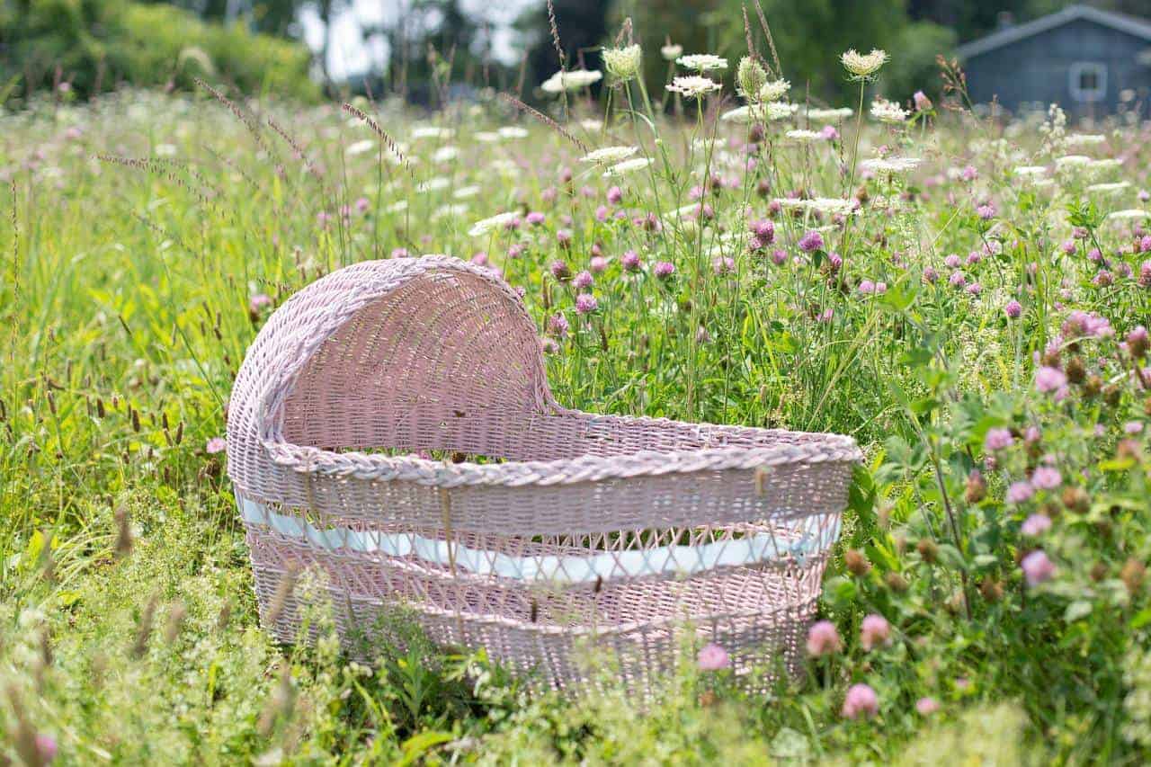 small pink bassinet