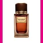 عطر فلفيت عنبر صن من دولتشي أند غابانا