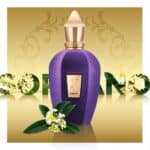 ⁦عطر سوبرانو من زيرجوف⁩ - الصورة ⁦2⁩