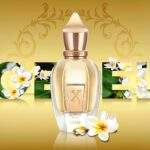 عطر أويسيل من زيرجوف