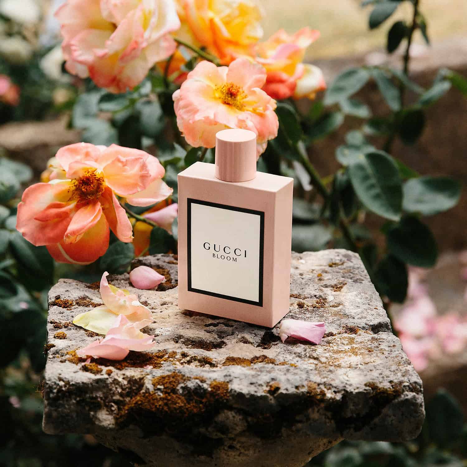 Gucci Bloom عطر بلوم من قوتشي - الصورة 1