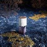 عطر بلاماج في ناسوماتو