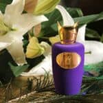 عطر كابريشيو من سوسبيرو