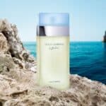 عطر لايت بلو النسائي دولتشي غابانا