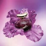 عطر الومينير انتنسا من فينس كاموتو