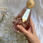 عطر تيمبتنج روز من جيمي شو