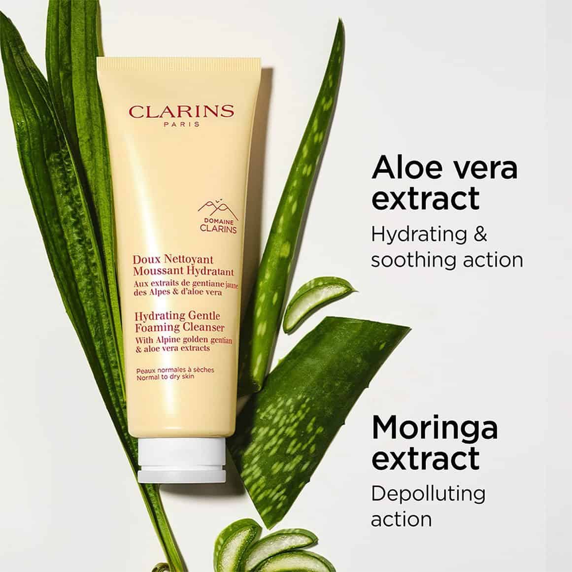 Clarins Hydrating Gentle Foaming Cleanser غسول جنتل فومينج المنقي للبشرة كلارنس - الصورة 1