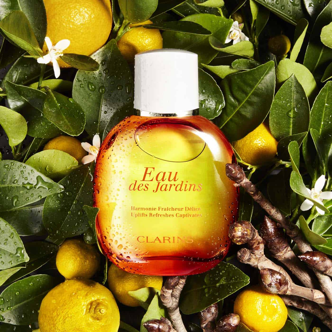Clarins Eau Des Jardin بخاخ إو دي جاردن من كلارنس - الصورة 1