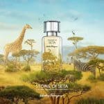 عطر  سافان دي سيتا من سالفاتوري فيراغامو