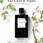 عطر بوا دي أماند من فان كليف اند اربيلس