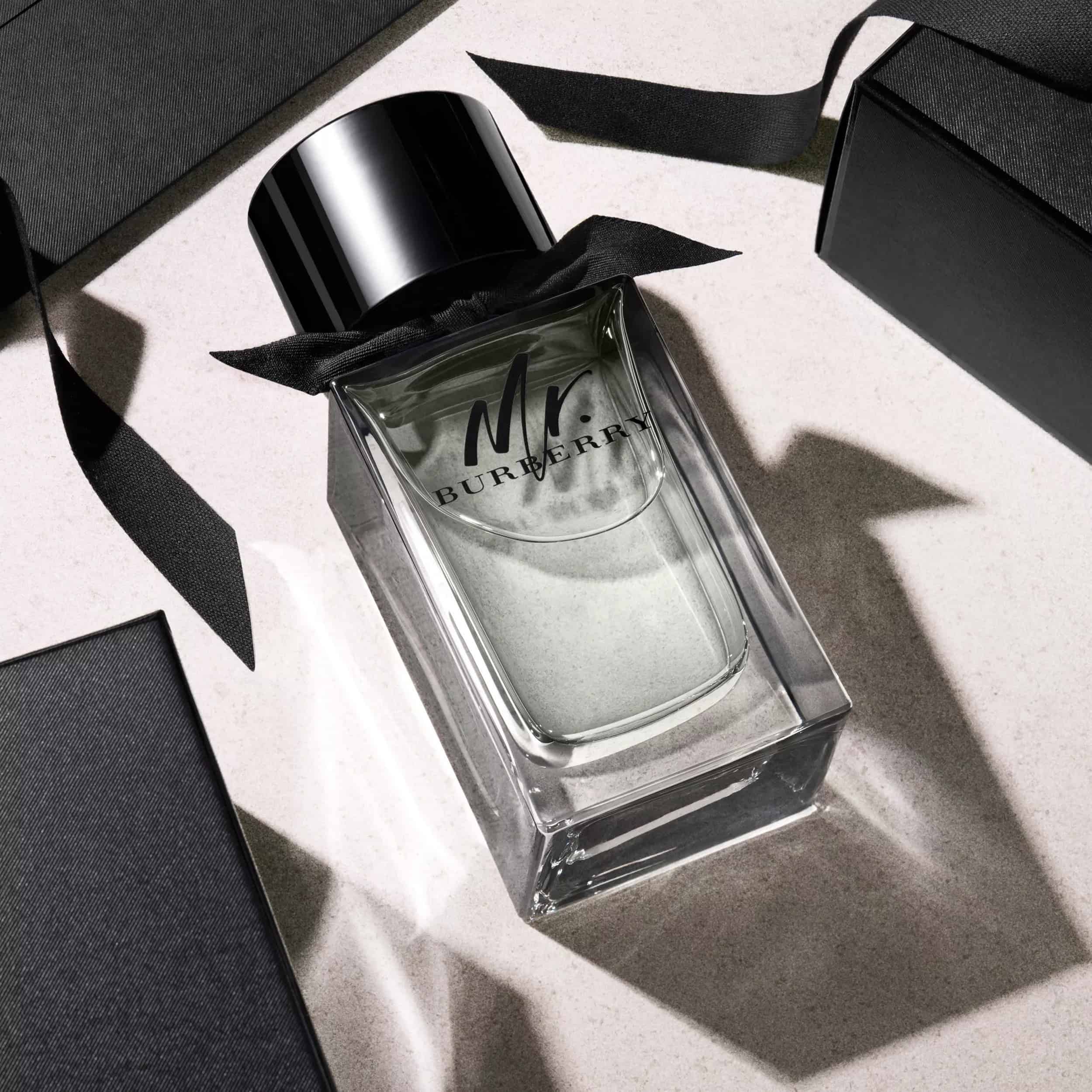 Burberry Mr. Burberry EdT عطر مستر بربري تواليت من بربري - الصورة 1