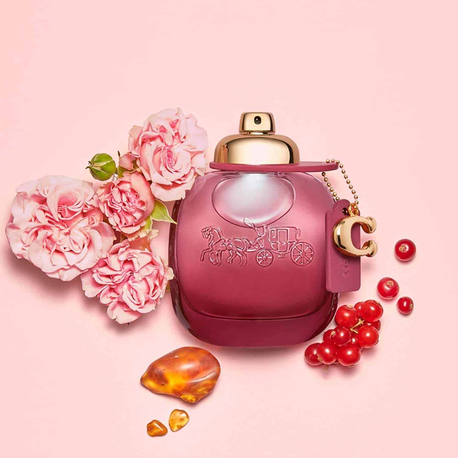 ⁦عطر وايلد روز بارفيوم من كوتش⁩ - الصورة ⁦2⁩