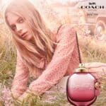 عطر وايلد روز بارفيوم من كوتش