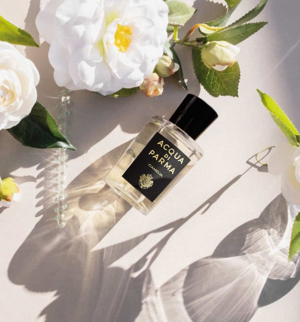 Acqua-Di-Parma-Camelia عطر كاميليا من أكوا دي بارما - الصورة 1