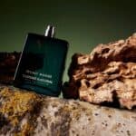 عطر سيكريت وودز أو دو بارفيوم من كوستوم ناشونال