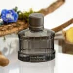 عطر رومامور أومو من لورا بياغوتي