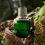 عطر بارادايس فاوند للرجال تواليت من روبرتو كافالي