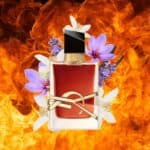 ⁦عطر ليبر لو بارفيوم من ايف سان لوران⁩ - الصورة ⁦2⁩