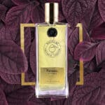 عطر باتشولي إنتنس من نيكولاي