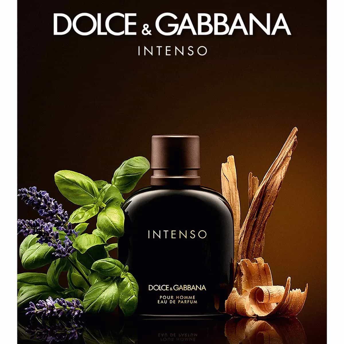 Dolce & Gabbana Pour Homme Intenso عطر إنتِنسو من دولتشي اند غابانا - الصورة 1