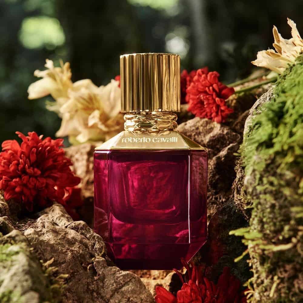 ⁦عطر باراديس فوند النسائي من روبرتو كافالي⁩ - الصورة ⁦2⁩