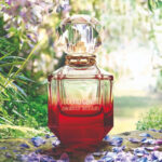 عطر باراديسو اسولوتو من روبرتو كفالي